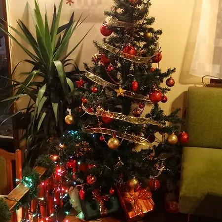 Szálloda Complex Brashlyan