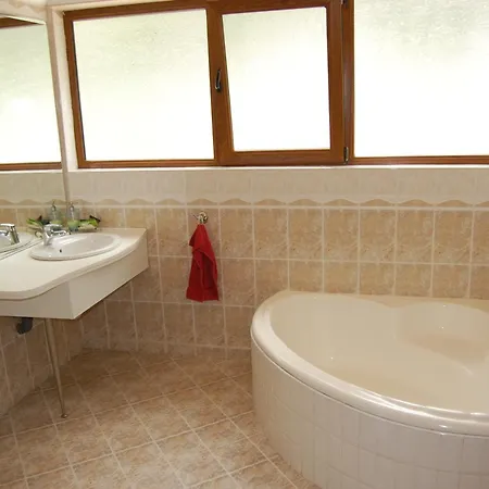 Complex Brashlyan Hotel 2*