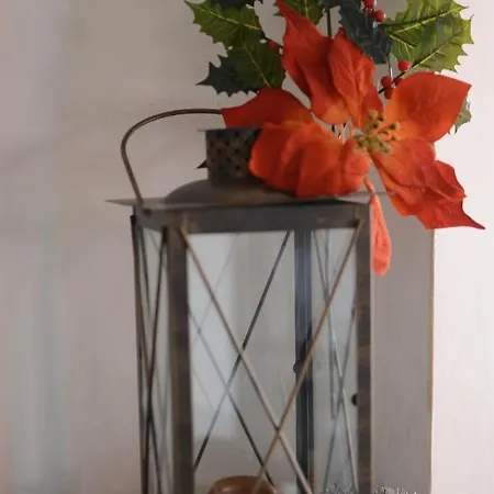 Хотел комплекс бръшлян Трявна