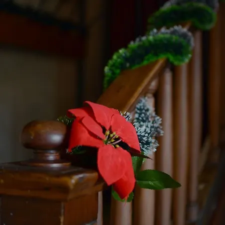 комплекс бръшлян