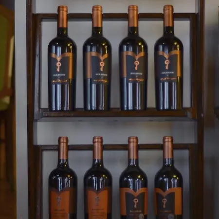 Otel Complex Brashlyan