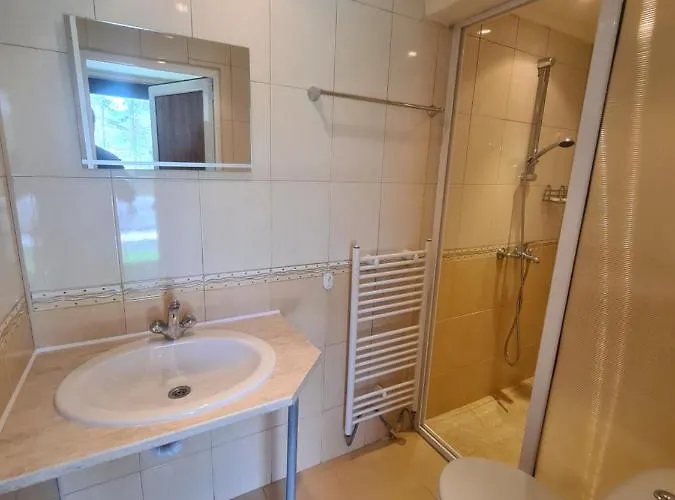 Complex Brashlyan Hotel