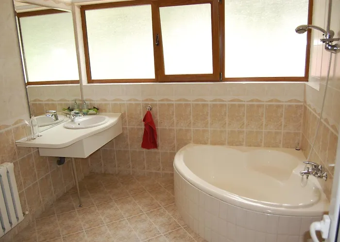 Complex Brashlyan Hotel 2*