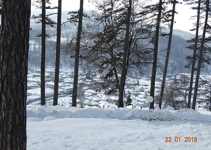 Complex Brashlyan Tryavna