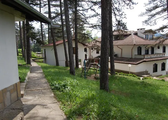 Complex Brashlyan Hotel 2*