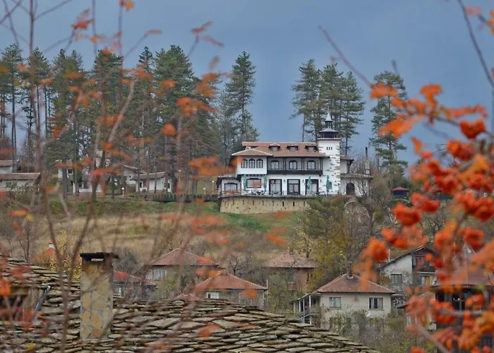 Complex Brashlyan Hotel